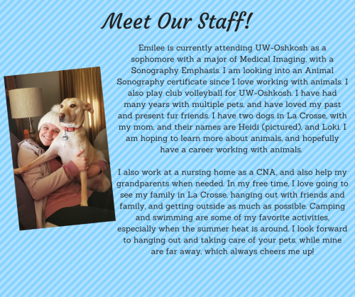 Emilee - Pet Sitter, Dog Walker